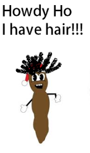 hair