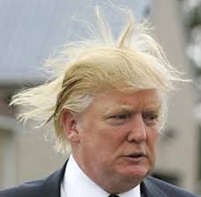 wind