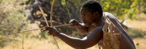 bushman