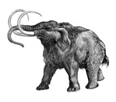Mammoth