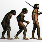 Evolution