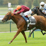 Horse Race