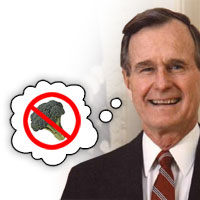 Bush