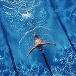 Swimmer