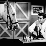 Mister Ed