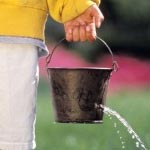 Bucket