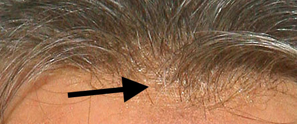 Billy Bob Thornton Wig
