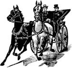 Horse and buggy