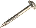 Screw