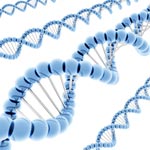 DNA