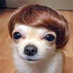 Toupee
