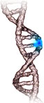 Genetic test