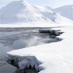 Arctic