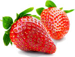 Fruit