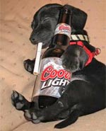 Drunk