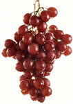 Red grapes