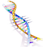 DNA