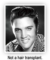 Elvis