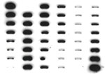 DNA