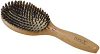 Boar brush