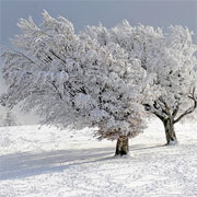 Cold weather