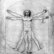 Body