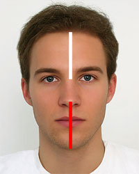 Face measurement