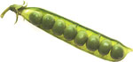 Pea pod