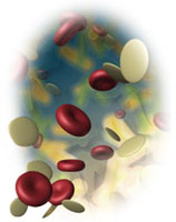 PRP