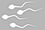 Semen
