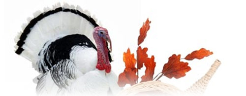 Thanksgiving