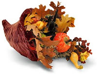 Happy Thanksgiving